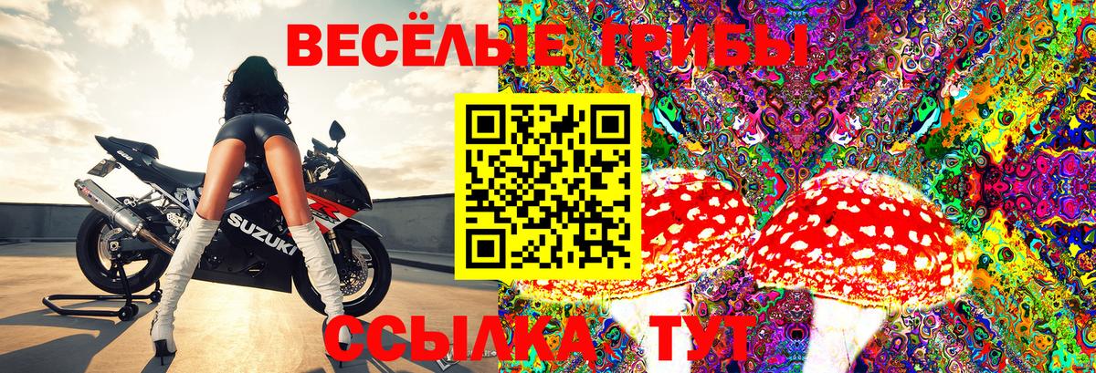 Галлюциногенные грибы GOLDEN TEACHER Дагестанские Огни